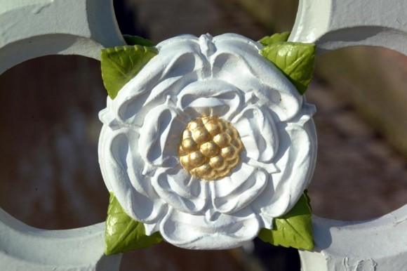 Yorkshire White Rose