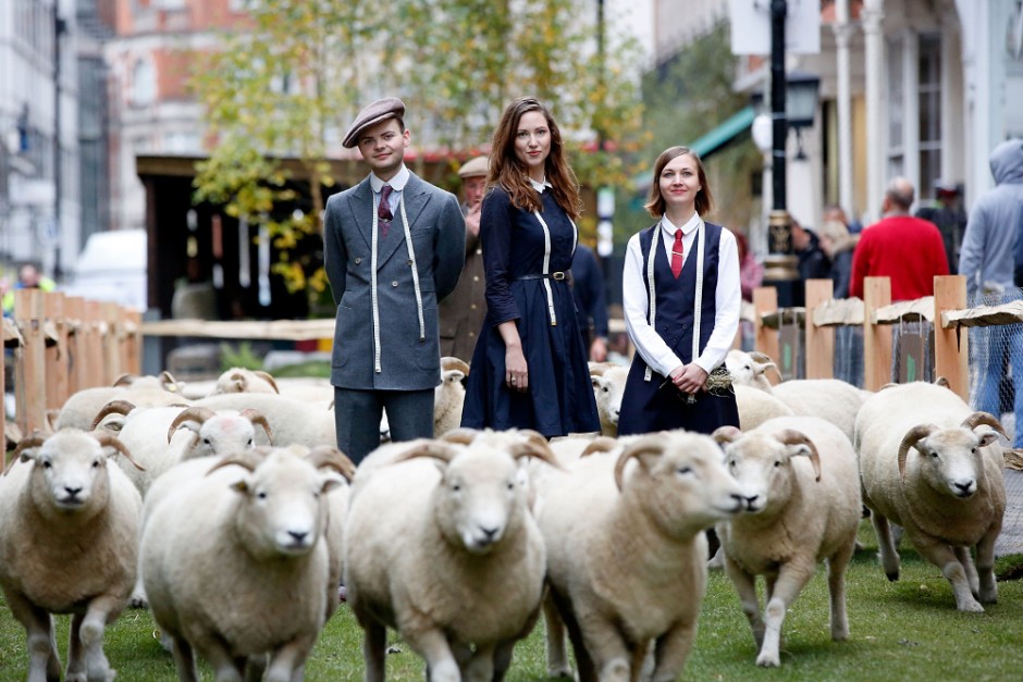 Sheep on Saville Row